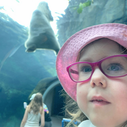 Family Passes to the Zoo